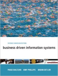 Image of Business Driven Information Systems