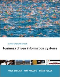 Business Driven Information Systems